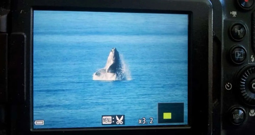 Imagen 10 de 13 de Departamento Con La Mejor Vista Del Golfo- Puerto Madryn/ 4p