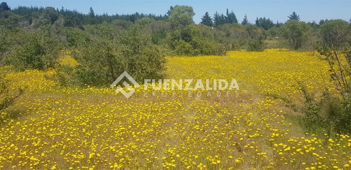 Parcela En Venta En Parral Sector Machicura