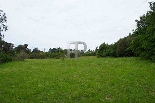 Imagen 5 de 10 de Campo En Venta Laguna Del Sauce 4 Hectáreas