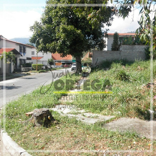 Imagen 6 de 9 de Terrenos En Venta. Urb. San Antonio.