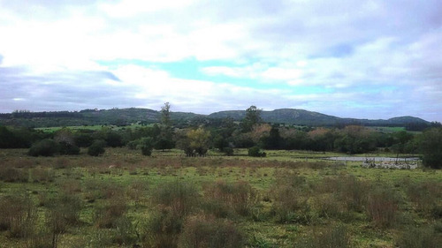 Imagen 7 de 15 de Fracción De Campo Con Costa De Arroyo Y Corriente Eléctrica