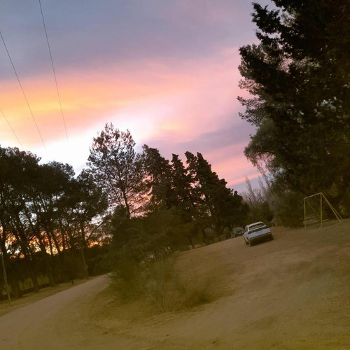 Venta De 20 Hectáreas Sobre Ruta En Tala Cañada...ref 1557