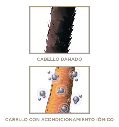 Secadora Cabello Profesional Conair Infiniti Pro Iónica