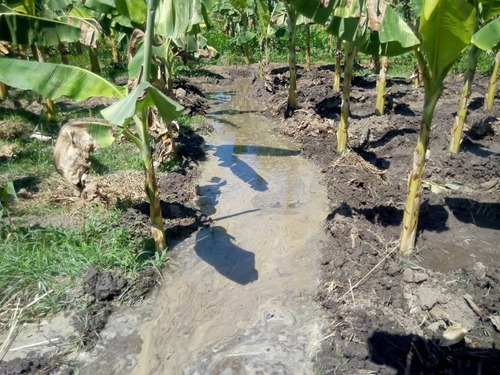 Imagen 12 de 21 de Se Vende Finca Con Casa En Tronconero Yagua Guacara