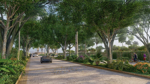 Imagen 2 de 30 de Losantos: Terrenos Residenciales By Artigas, Cancún.