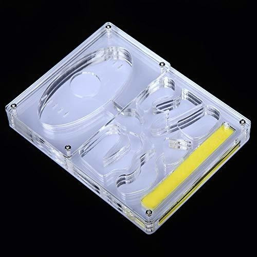 Heepdd Ant Farm, Acrilico Transparente Nido De Hormigas Sist