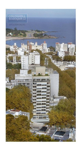 Apartamento De 2 Dormitorios Con Patio Venta En Parque Rodó
