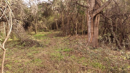 Imagen 11 de 30 de Terrenos Desde 3 Mil M2 A 1 Hectarea En Venta En San Javier, Traslasierras