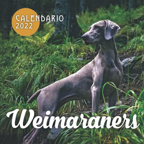 Libro: Weimaraners Calendario 2022: Calendario 12 Meses 2022