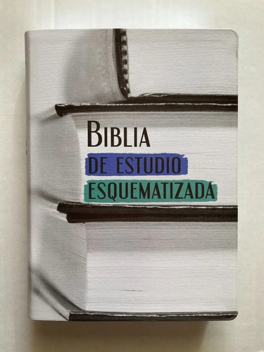 Biblia De Estudio Esquematizada / Sbu