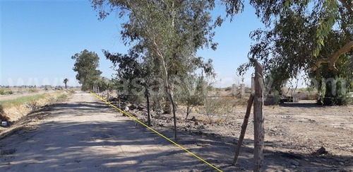 Imagen 6 de 10 de Se Venden 3,889 M2 De Terreno En Ejido Xochimilco