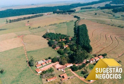 Imagem 3 de 15 de Fazenda No Asfalto Agricultura Ou Pecuaria - 3112