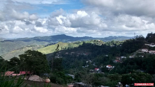 Imagen 2 de 10 de Terreno Venta San Luis La Suiza San Antonio De Los Altos Cf