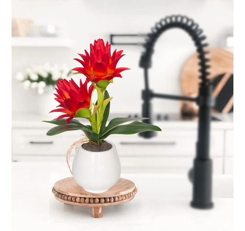 Binfen Bromelia Roja En Maceta, Flores Artificiales Con Jar.