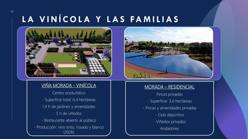 Venta De Terrenos Con Corredor Vinícola En Bernal