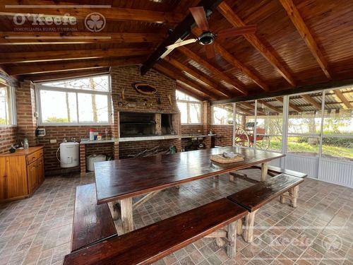 Imagen 10 de 26 de 100 Has En Punta Indio - Excelente Acceso - Ideal Haras!