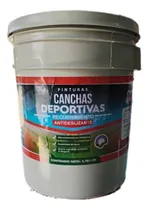 Comprar Pintura De Cancha Verde, Azul Y Otros Colores. Cuñete 