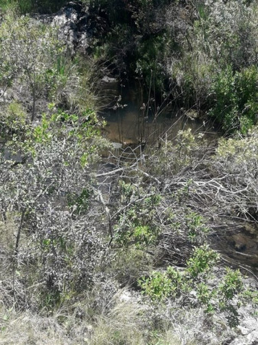 Imagen 8 de 16 de Campo En Carape - Departamento De Maldonado - Carape