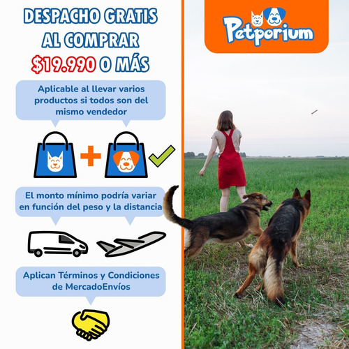 Imagen 5 de 7 de Juguete Para Perro Pelota Birthday Kong Sonido Pack3 Talla M