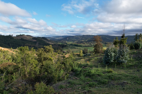 Imagen 7 de 14 de Oferta Hermoso Terreno En Lago Vichuquén - Vista Al Lago
