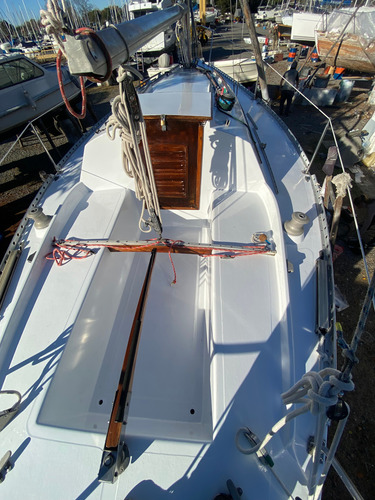 Velero Dangelo D Angelo 24