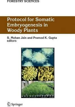 Libro Protocol For Somatic Embryogenesis In Woody Plants ...