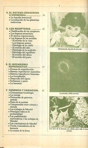 E Tareas Escolares El Cuerpo Humano : Funciones Reproducción (Usado)
