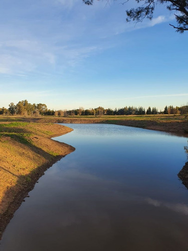 Imagen 16 de 16 de Pinares - Lote En Etapa 1 - Posesión Inmediata