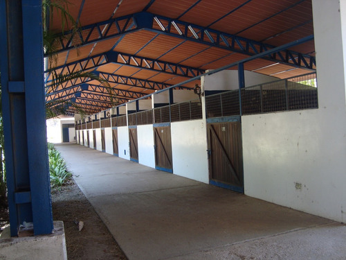 Imagen 9 de 13 de Vendo Finca 2.680.000 M2 El Consejo