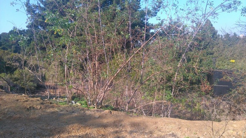 Sitio En Plan De Reñaca