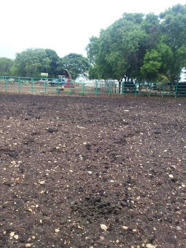 Imagen 3 de 14 de Finca 2.500 Hectáreas En Guárico, Vía El Sombrero