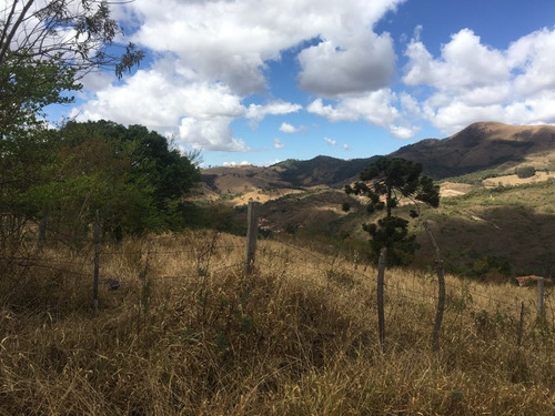 Imagem 7 de 24 de Chácara À Venda, 2800 M² Por R$ 80.000 - Zona Rural - Caldas/mg - Ch0126