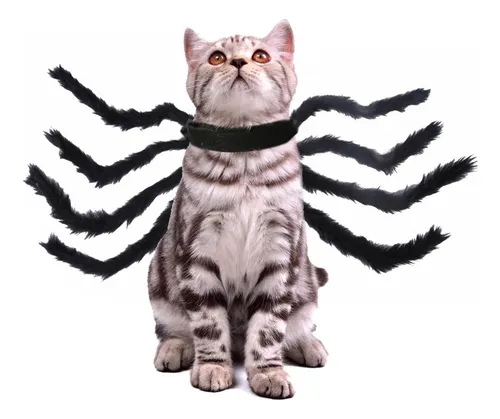 Disfraz Araña Gato Ropa Para Perro Araña Ropa Cospl