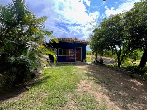 Villa Gorgona, 12.800 M2, Finca En Venta
