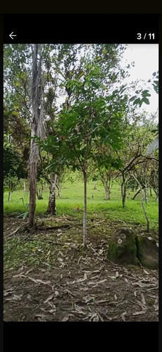 Imagen 9 de 10 de Se Vende De Oportunidad Hermosa Finca De 40 Hectáreas