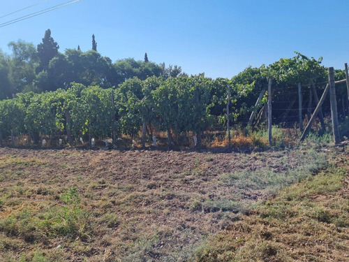 Imagen 3 de 9 de 6,1 Ha Parrales Colonia Segovia