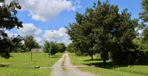 Imagen 2 de 9 de Lote Quinta De 1500 M2 Chacras Don Jose