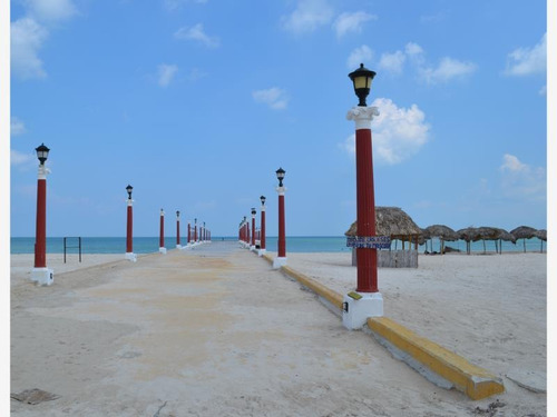 Imagen 10 de 12 de Terreno En Venta Sisal