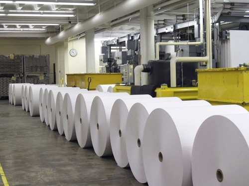 100 Rollos De Papel Fiscales Termico 44x50 Metros Lisos