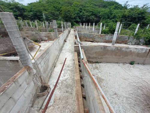 Imagen 9 de 30 de Granja Porcina O Unidad De Producción La Victoria, Aragua.