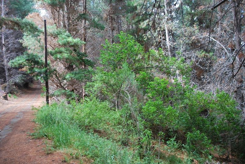 Imagen 2 de 7 de Terreno - Península De San Pedro