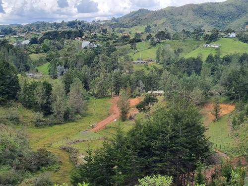 Espectacular Lote Para La Venta En Guarne, Vereda La Enea