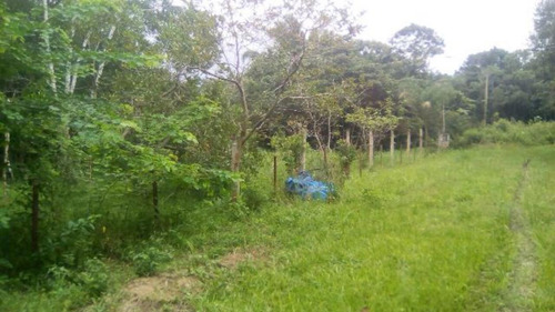 Chácara Com 3 Com Carpas No Bopiranga Em Itanhaém - 3952 Npc