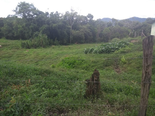 Imagem 21 de 30 de Fazenda - Fa00003 - 34856184