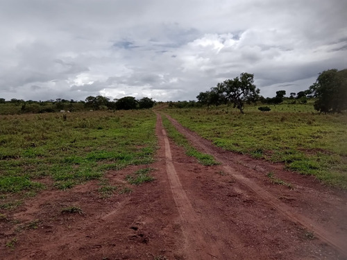 Imagem 13 de 19 de Fazenda Em Paranatinga - Mt - 820hectares- 10milhões