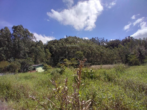 Imagem 6 de 10 de Terreno - Vila Maria - Ref: 23543 - V-23543