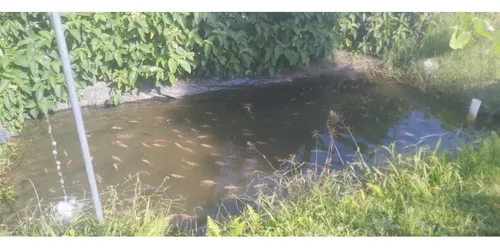 Se Vende Finca En Cordoba - Quindío