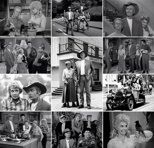 Los Beverly Ricos The Beverly Hillbillies Serie Tv Completa
