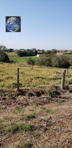 Imagem 6 de 6 de Terreno A Venda . - 236-1