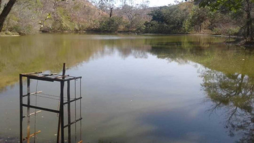 Imagen 3 de 14 de Finca Productiva Para Cria De Porcinos En Parapara De Ortiz